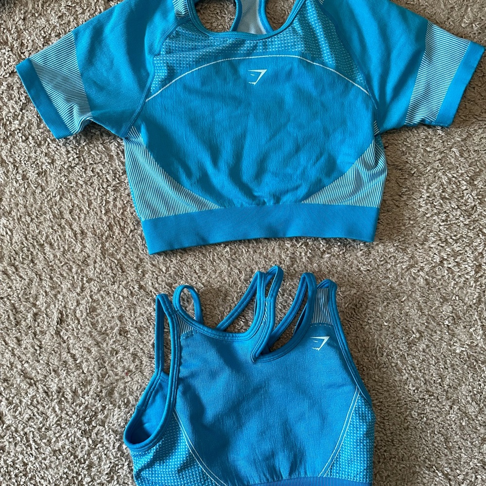 Gymshark seamless crop top and sports bra bundle